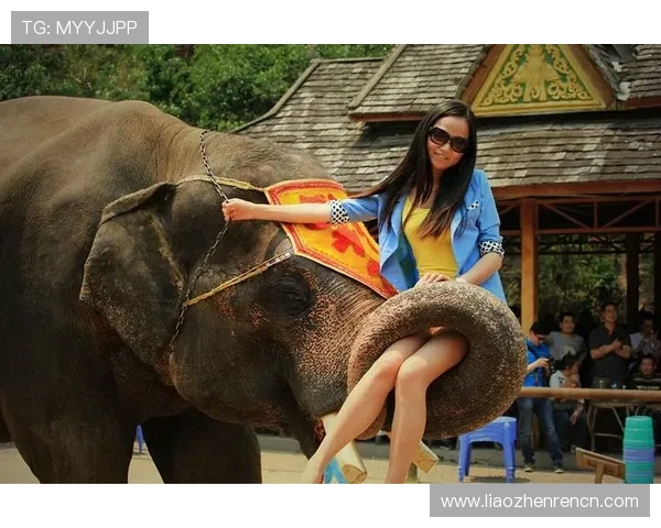 斗牛在线玩让你体验最刺激的真人对战乐趣尽在这里 斗牛在线玩让你体验最刺激的真人对战乐趣尽在这里