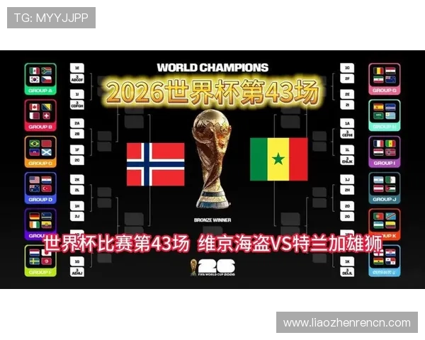 2026年世界杯挪威对阵法国比赛精彩赛后视频回放与赛事分析
